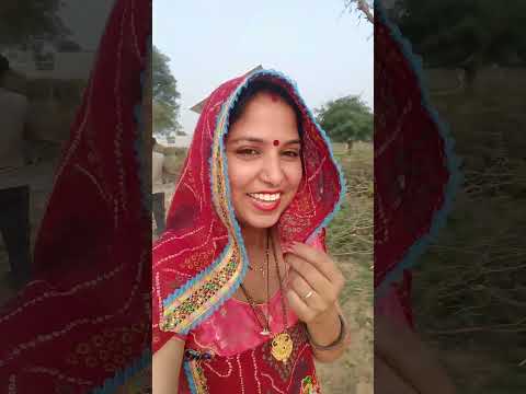 हम बहुत चतर है 😂😂//#shekhawatistudios