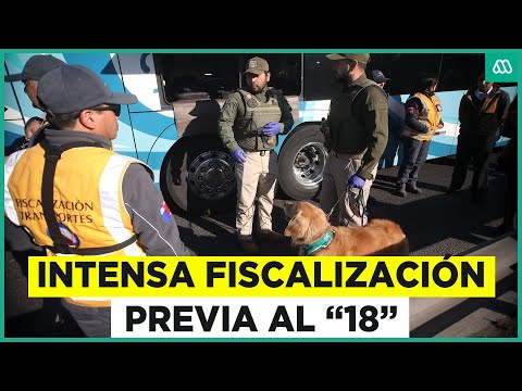 Plan 18 Seguro: Fuerte fiscalización de autos y buses previo a las Fiestas Patrias