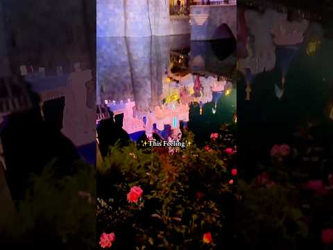 The feeling of Disneyland in October — pumpkins, parades, and pure magic. 🎃✨ #disneyparks #disney