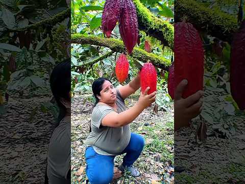 Enjoy expertly selected fresh fruits 🍉🍎🍓🥭 #shorts #sweets #fresh #fruitsandveggies