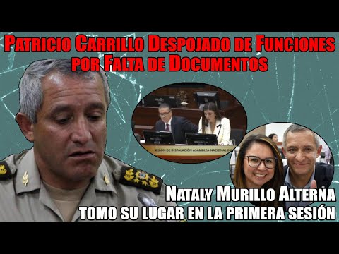 Patricio Carrillo Despojado de Funciones por Falta de Documentos, Nataly Murillo Suplente