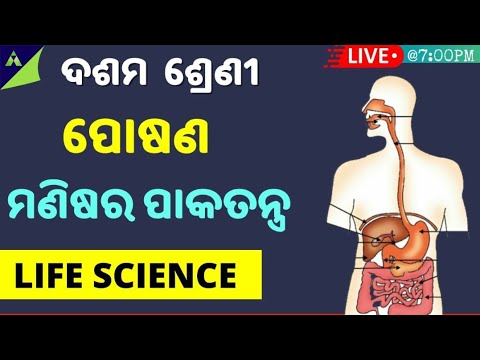 Nutrition for class 10 odia || ମଣିଷ ର ପାକତନ୍ତ୍ର || digestive system in odia ||ପୋଷଣ || Life science