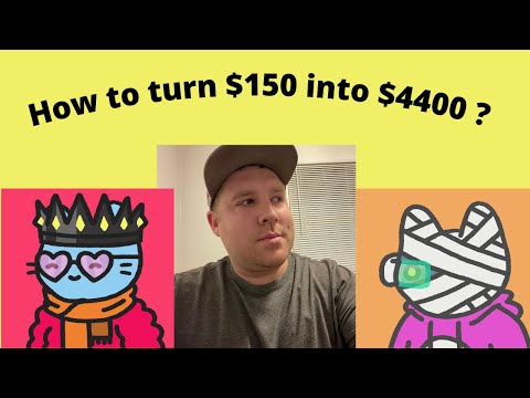 How I Turned $150 into $4400 in Under a WEEK with Cool Cats NFT