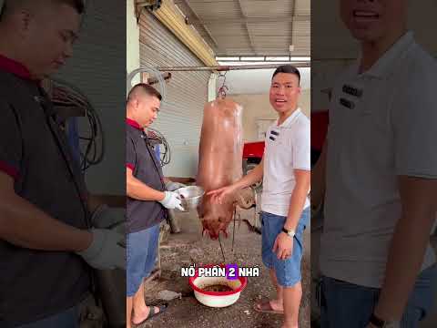 công thức lên màu heo cốm #food #streetfood #cooking