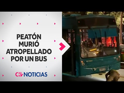 PEATÓN MURIÓ ATROPELLADO por bus Red: Víctima y chofer estaban habilitados por luz verde