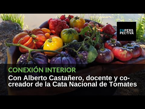 ¿Cuántas variedades de tomate se producen en Uruguay?