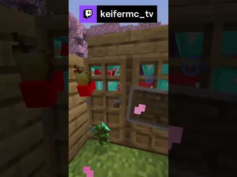 PELEA EN 1 BLOQUE XD | keifermc_tv de #Twitch