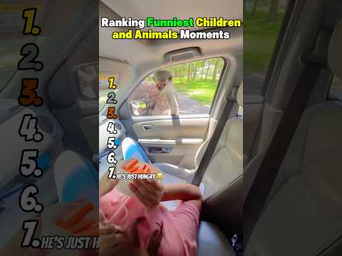 子供と動物の面白動画ベストセレクション サムネイル