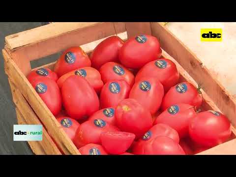 Nuevas variedades de tomate con mas resistencia