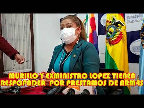 DIPUTADO MAGALY GOMEZ PIDE INV3STIGAR A LOS EXMINISTROS DE AÑEZ POR MUNICION3S PRESTADOS DE ECUADOR.
