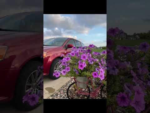 ngày 8 tháng 7, 2025