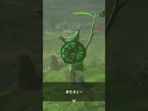 【ティアキン】ゴングル丘のコログ　ゼルダの伝説ティアーズ オブ ザ キングダム  #ゼルダの伝説 #ティアキン #zelda #shorts