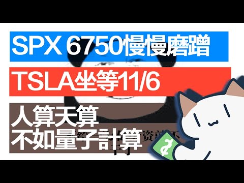 特斯拉TSLA又行了?美股迎流动性拐点,是否有新机会?|10月24日Meow点评 TSLA COIN HOOD IBM