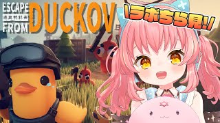 【エスケープ フロム ダッコフ】農場町タスク終わらせつつラボちら見しにいきたい！【だてんちゆあ】