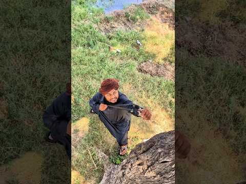 Birds ko bacha Liya 😭🦜 #shorts