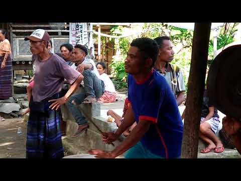 Tarian Wanda Pau dari Ende flores #Jopu