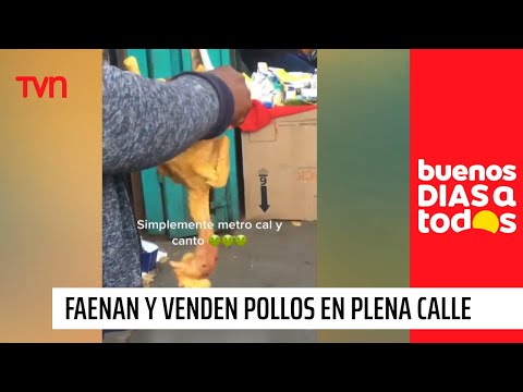 Sin palabras: Faenan y venden pollos en plena calle de Santiago | Buenos días a todos