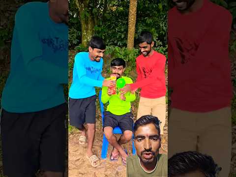 Duckling saves seriously injured cat 🐈#DuckRescue #CuteAnimals #AnimalRescue