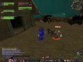 crazywowaddict