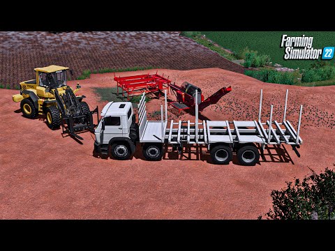 Fazenda simulada #69 | Iniciando a produção de lenha com eucalipto | Farming simulator 22