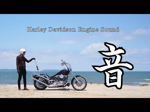 【高音質】ハーレーダビッドソン エンジン音 三拍子 Harley Davidson Engine Sound