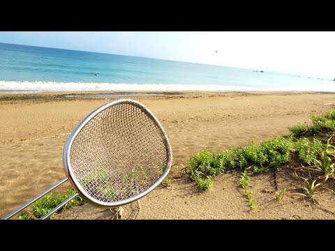 海岸の砂丘をザルで掘ったらヤバいのが出てきた…