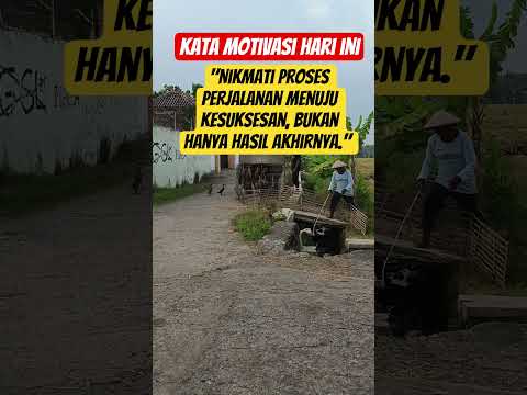 motivasi hari ini #music #edm #remix #dj #alanwalker #mlbb #automobile #funny #motivation