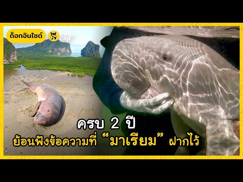 ครบรอบ-2-ปีการจากไปของ-มาเรียม ครบรอบ-2-ปีการจากไปของ-มาเรียม