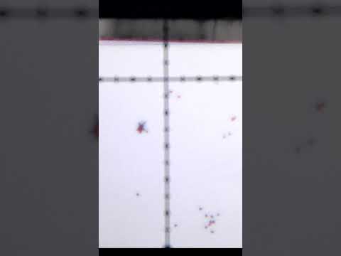 🎯 Accuracy Test! Trajectron ARAWN + QYS Pellets at 25 meter #shorts #savajoutdoors #scopecam