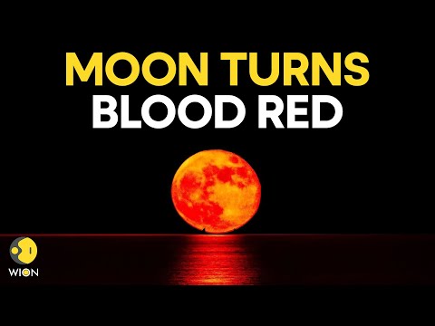Blood Moon LIVE: Rare Total Lunar Eclipse Captivates The  Sky! | Lunar Eclipse 2025 | WION