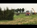 Springpferd ZZL dressuur - Z springen - Z eventing paard te koop