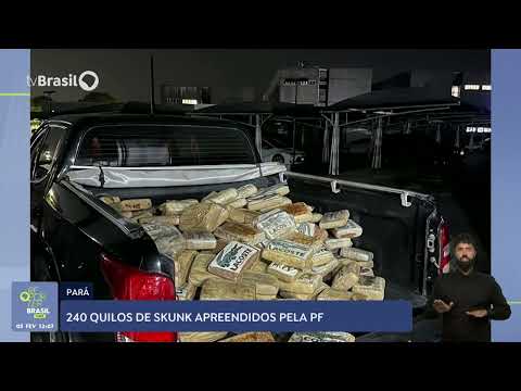 PF apreende 240 quilos de skunk no Pará