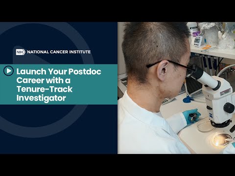 Launch Your Postdoc Career with a Tenure-Track Investigator at the NCI
Center for Cancer Research