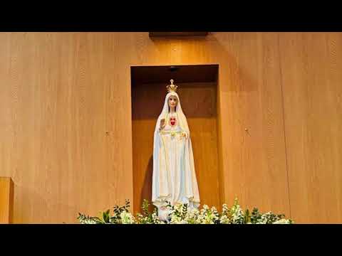 Santa Misa desde la Parroquia del Divino Niño, 7:00 a.m Sábado 28 de septiembre 2024