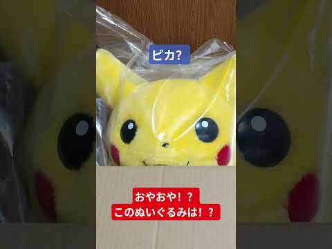 こ、このピカチュウのぬいぐるみは!? #おかえりピカチュウ #ぬいぐるみ #タカラトミー