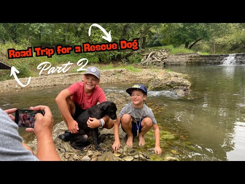 YouTube video thumbnail