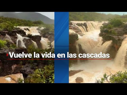 REGRESÓ LA VIDA | Así lucen las cascadas de Tamaulipas y San Luis Potosí