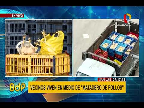 San Luis: vecinos exigen cierre de mataderos de pollos no autorizados