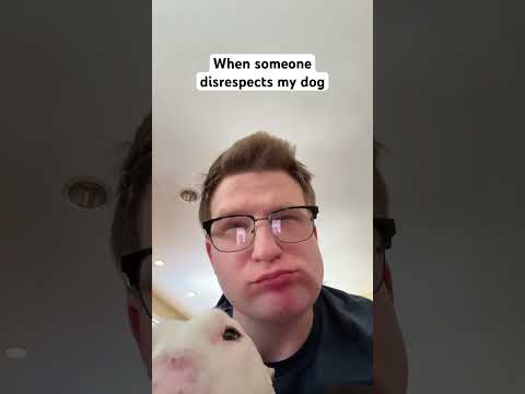 No one talks smack about Pookie! #pookie #funny #englishbullterrier #doggy #shorts