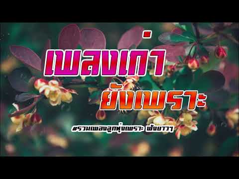 เพลงเก่ายังเพราะ-ฟังเพลินฟั