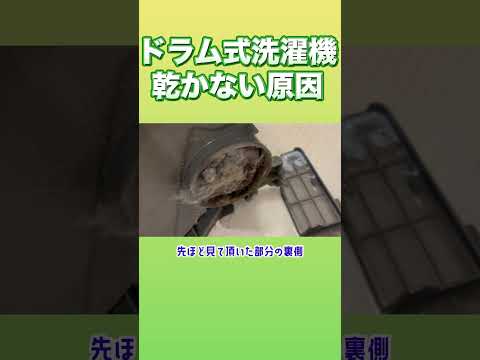 🔸洗濯機分解清掃のご依頼はこちら↓https://lin.ee/7dSz9lN【公式HP】はこちら↓https://hatanakabiso.jp #掃除