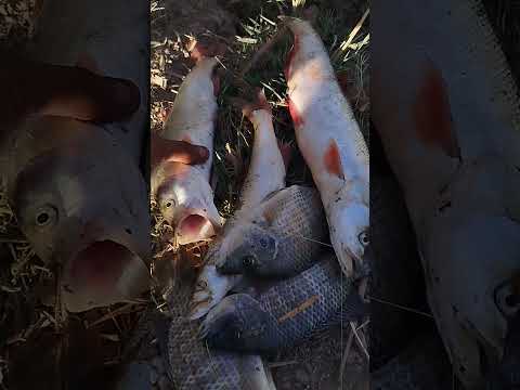 شوف رزق ربك😍