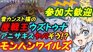 【視聴者参加型】モンスターハンターワイルズ080【VTuber】