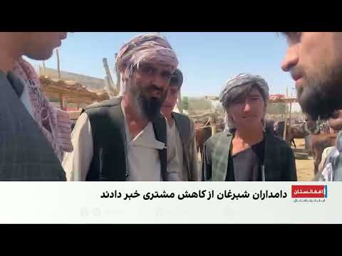 دامداران شبرغان؛ بازار کم‌رونق و هزینه‌های سنگین