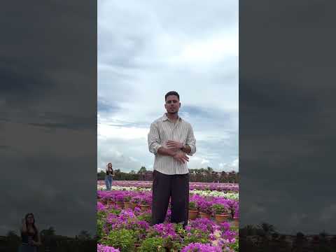 🥺👫❤️ #viralvideo #love #viralvideo #viralvideo #viralvideo @Punjabi___vibes786-g4n