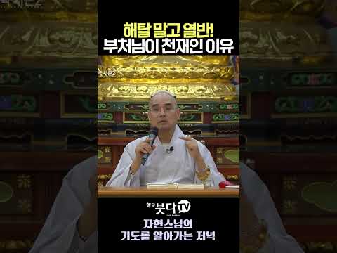 부처님이 인생 판을 통째로 엎은 이유✅ 천재들이 문제 푸는 충격적인 방법😱  #자현스님 #열반과해탈 #불교철학 #생각의전환 #<strong>통찰력</strong>