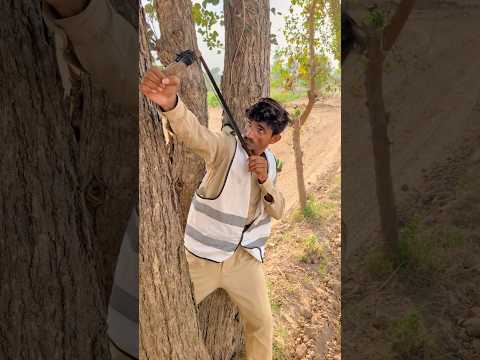 garib Bache NY birds ko Bacha Lia 🦜😥 #shorts