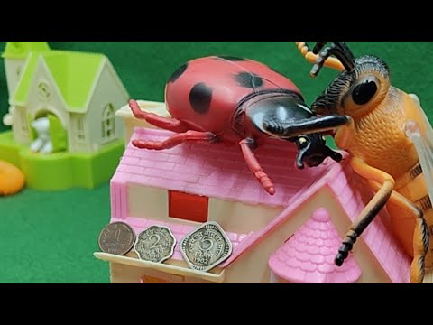 DOG HOUSE BANK ACCOUNT LIVE STREAM