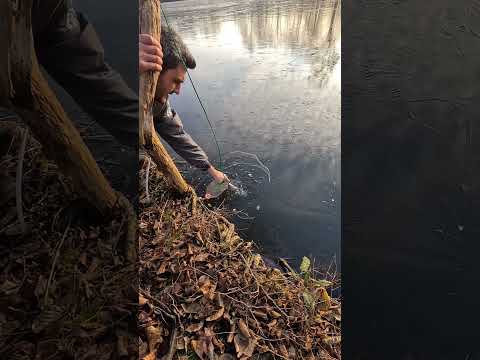 Survivalskills 💯#camper #camping #outdoors ##viral #bushcraft #survival #keşfet #shorts #short