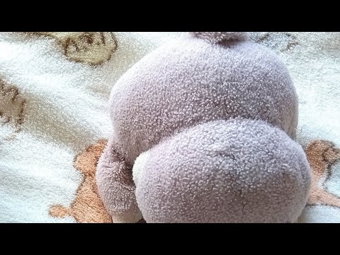 音源は確認しないで! ※音量注意※#ももんが#発狂注意